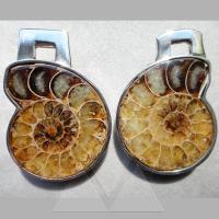Ein Ammonit für ein Paar in 925/- Silber